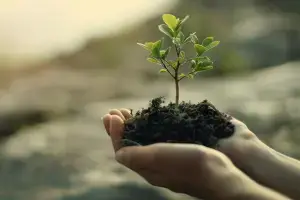 Nurturing en el Marketing B2B